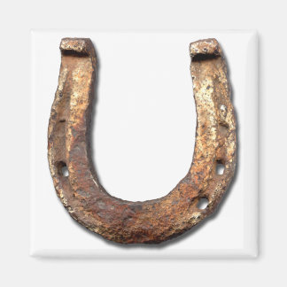 Horse Shoe Magnet