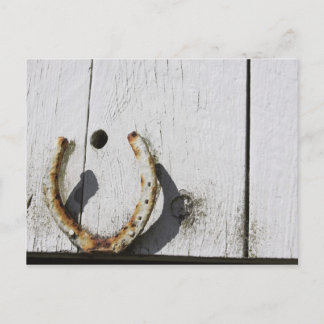 Horse Shoe Postcard