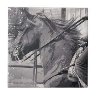 Horse Show Grunge Black and White Tile