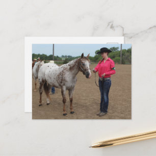 Horse Show Showmanship Postcard