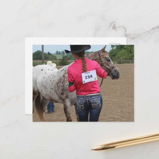 Horse Show Spotted Pony of America 234 Postcard (Front/Back In Situ)