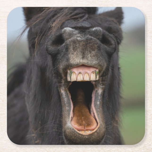Horse Showing His Teeth Square Paper Coaster (Front)