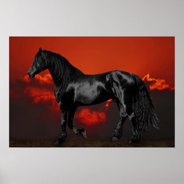 Horse silhouette at sunset poster (Front)