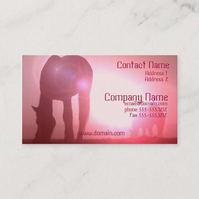 Horse Silhouette Business Card (Front)