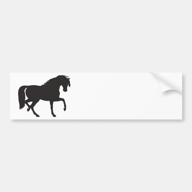 Horse Silhouette - Change background colour! Bumper Sticker (Front)