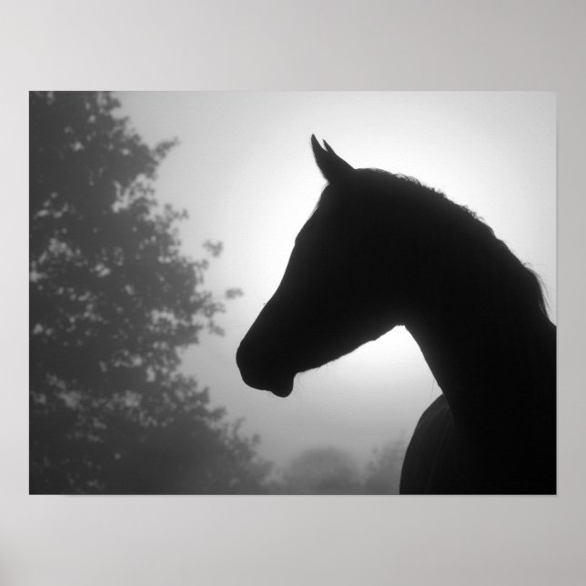 Horse silhouette in black and white poster (Front)