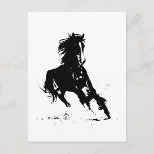 Horse Silhouette Postcard