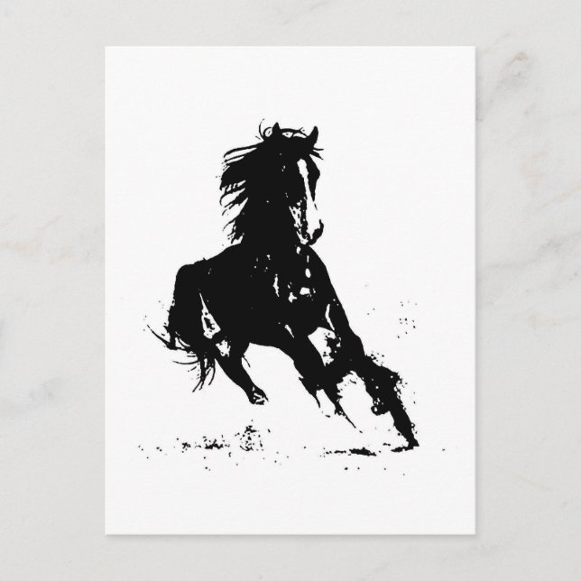 Horse Silhouette Postcard (Front)