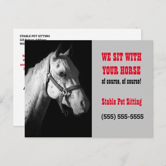 Horse Sitter Business Postcard Mailer or Handout (Front/Back)