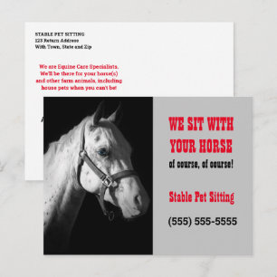 Horse Sitter Business Postcard Mailer or Handout