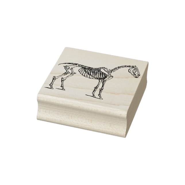 horse skeleton art stamp (Stamp)