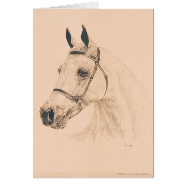 Horse sketch by Susan Pelisek Kolberg (Front)