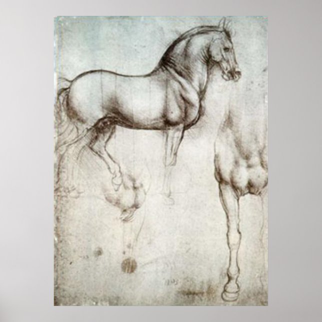 Horse Sketch Poster (Front)