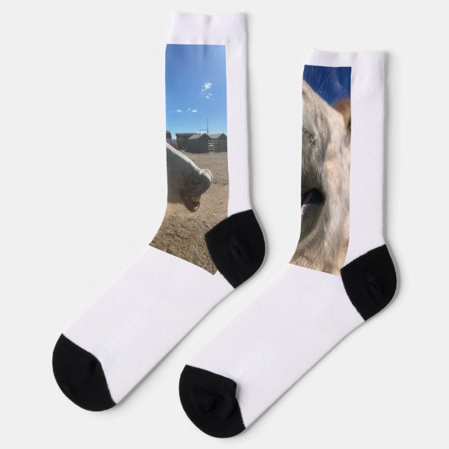 Horse Smiles Socks (Left)