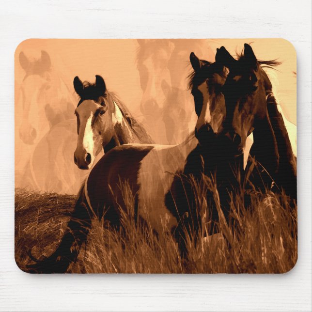 Horse Spirits Mouse Mat (Front)