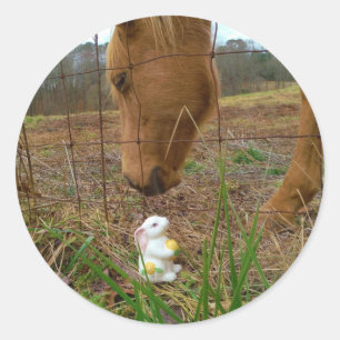 horse & Spring flower Bunny Classic Round Sticker