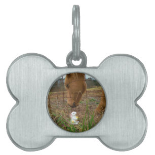 horse & Spring flower Bunny Pet Name Tag