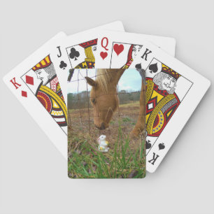 horse & Spring flower Bunny Playing Cards