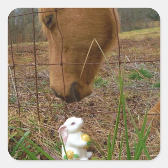 horse & Spring flower Bunny Square Sticker (Front)