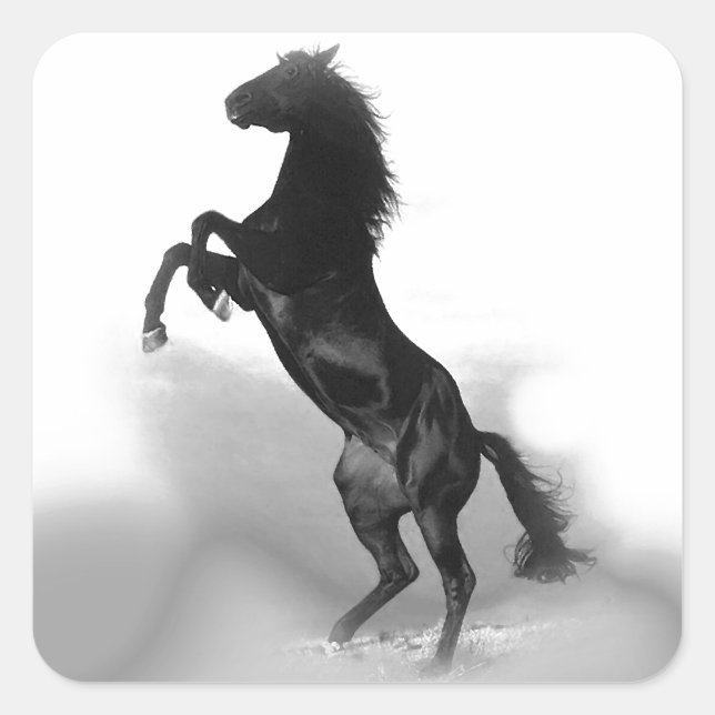 Horse Square Sticker (Front)