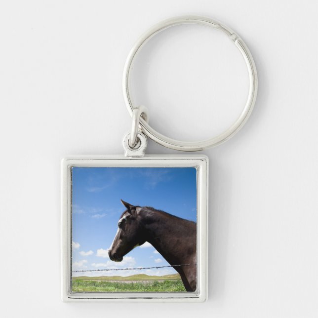 Horse standing at fence in pasture key ring (Front)