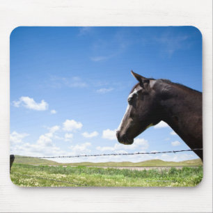 Horse standing at fence in pasture mouse mat