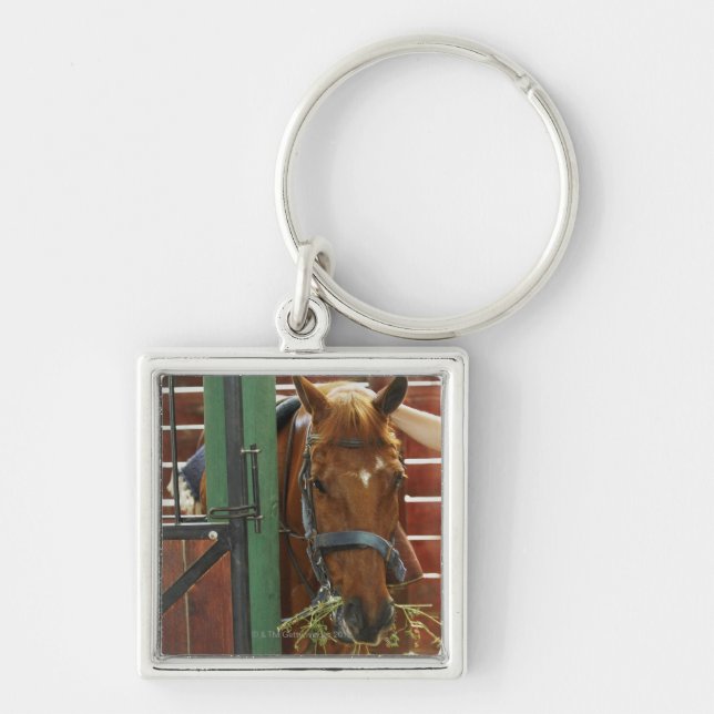 Horse standing in a stable key ring (Front)