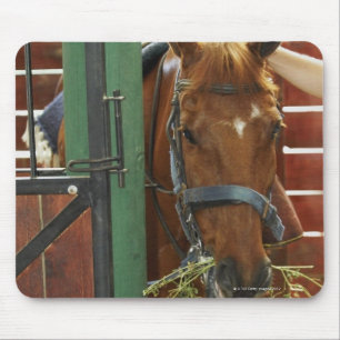 Horse standing in a stable mouse mat