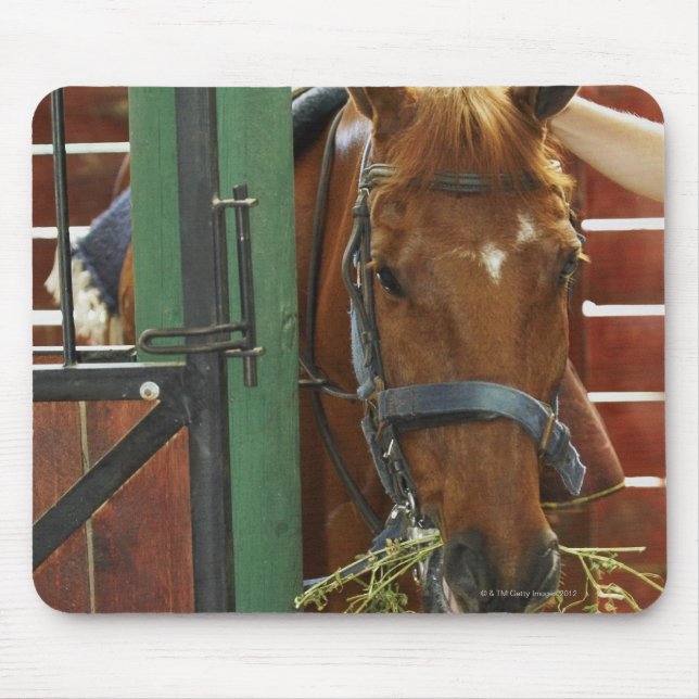 Horse standing in a stable mouse mat (Front)