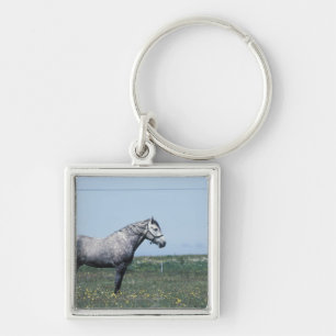Horse standing in field key ring