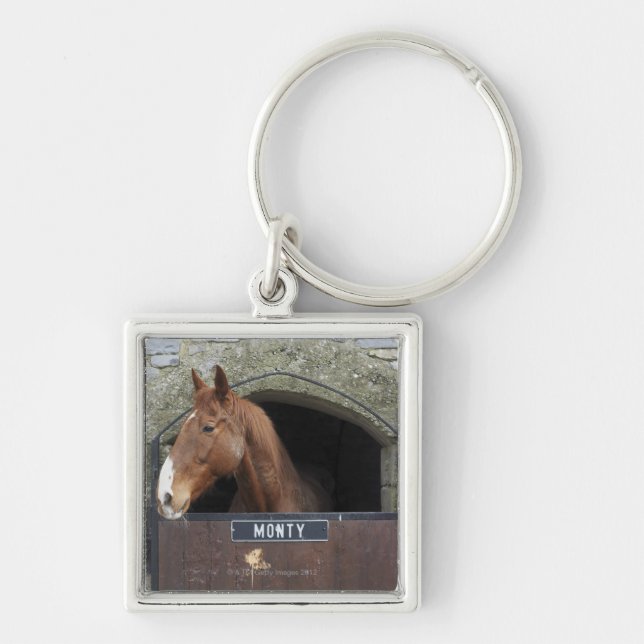 Horse standing looking out of its stable key ring (Front)