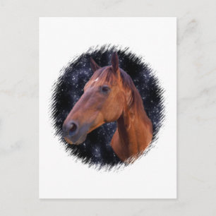 Horse stars postcard