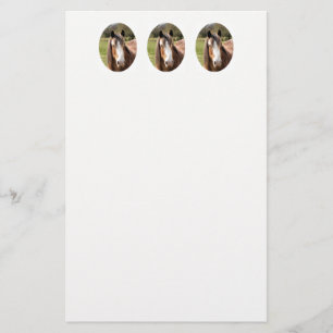 HORSE STATIONERY