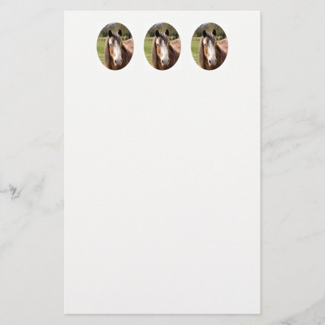 HORSE STATIONERY (Front)