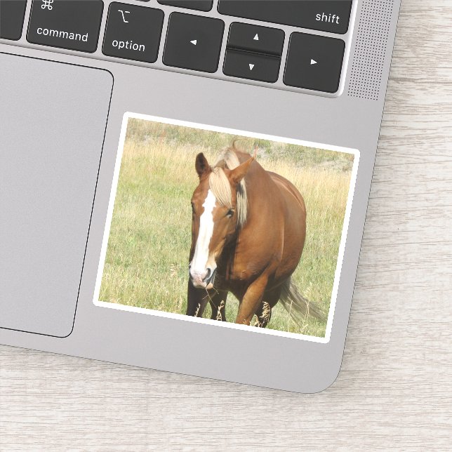 Horse Sticker (Detail)