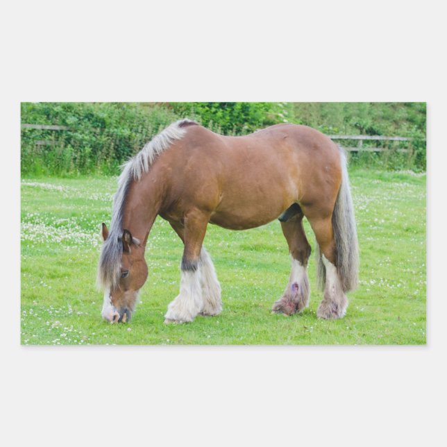 Horse stickers (Front)