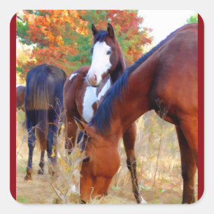 Horse Stickers