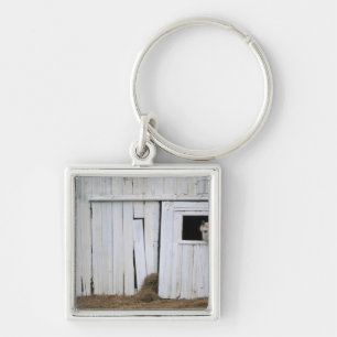 Horse Sticking Head out Barn Window Key Ring