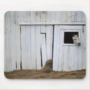 Horse Sticking Head out Barn Window Mouse Mat