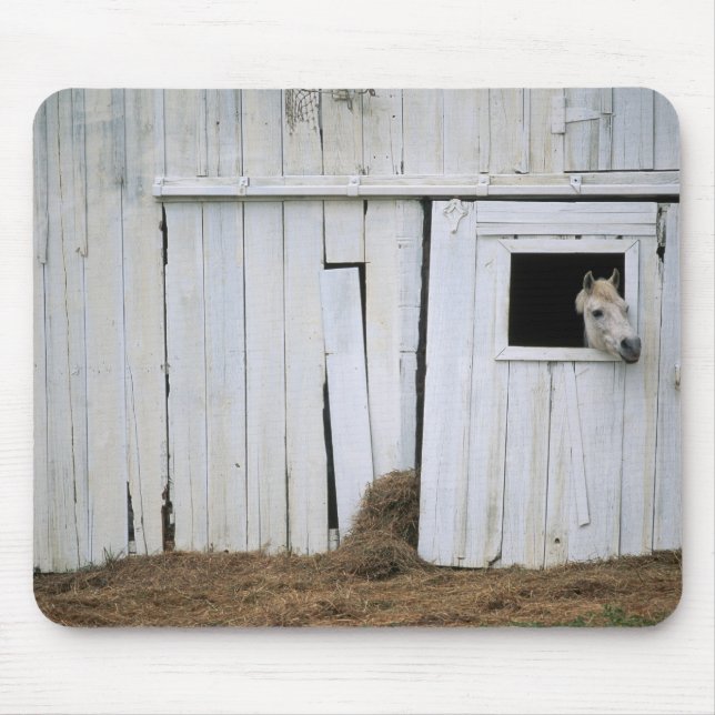 Horse Sticking Head out Barn Window Mouse Mat (Front)