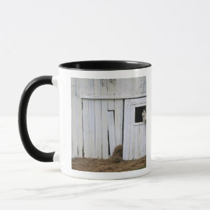 Horse Sticking Head out Barn Window Mug