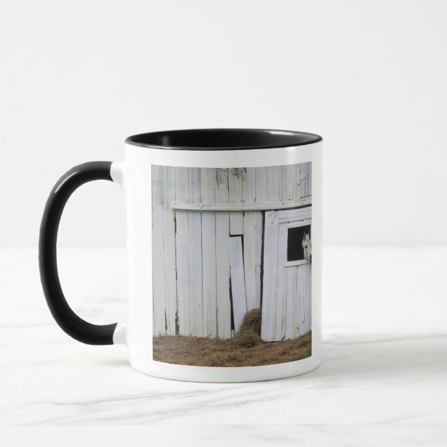 Horse Sticking Head out Barn Window Mug (Left)
