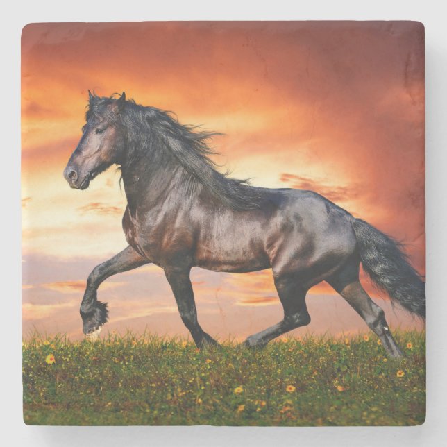 Horse Stone Coaster (Front)