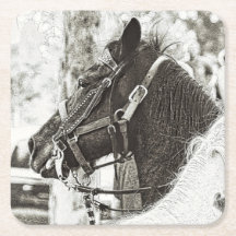 Horse stylised black and white graphic art photo