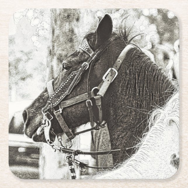 Horse stylised black and white graphic art photo  square paper coaster (Front)