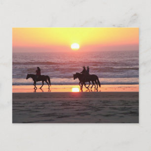 Horse Sunset Post Card