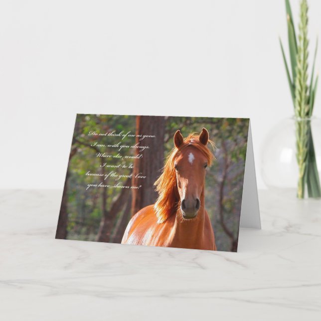Horse Sympathy Card (Front)