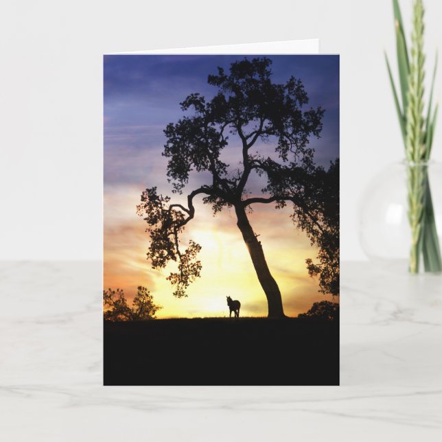 Horse Sympathy Card (Front)