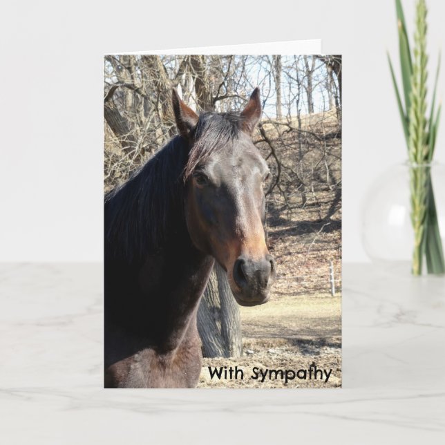 Horse Sympathy Card (Front)