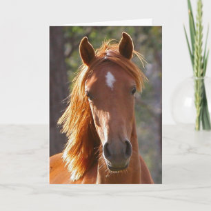 Horse Sympathy Card